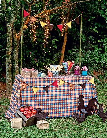 decoração festa na roça