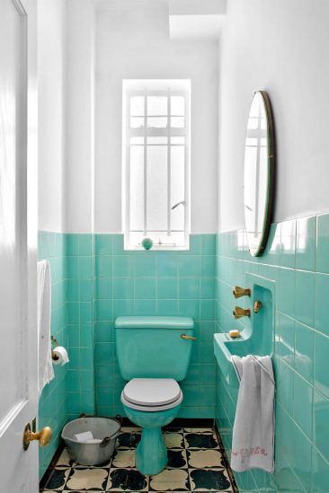 Plantas para Banheiro Retrô: As Melhores Espécies para Ambientes Úmidos