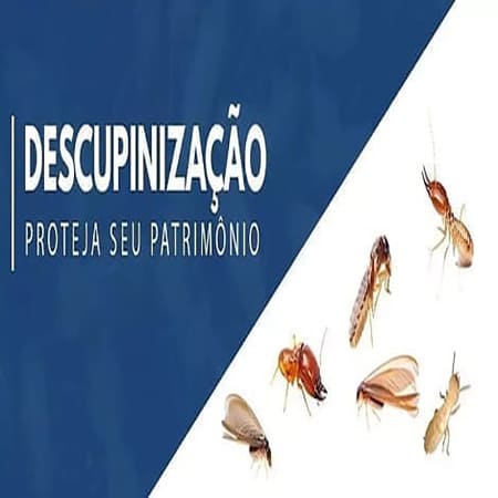 Produtos aprovados pela Anvisa para dedetização em Caxias