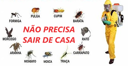 Como Escolher a Melhor Dedetizadora em Ribeirão Preto