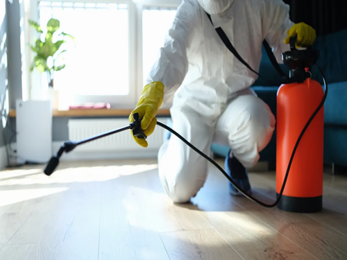 Dedetizadora de cupim e baratas São Bernardo do Campo