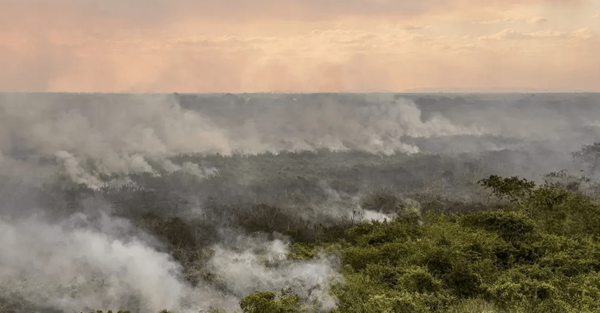 Defesa em processos de desapropriação de terras