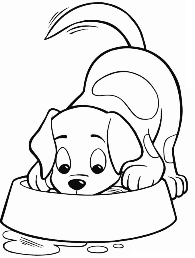 moldes de cachorro para colorir