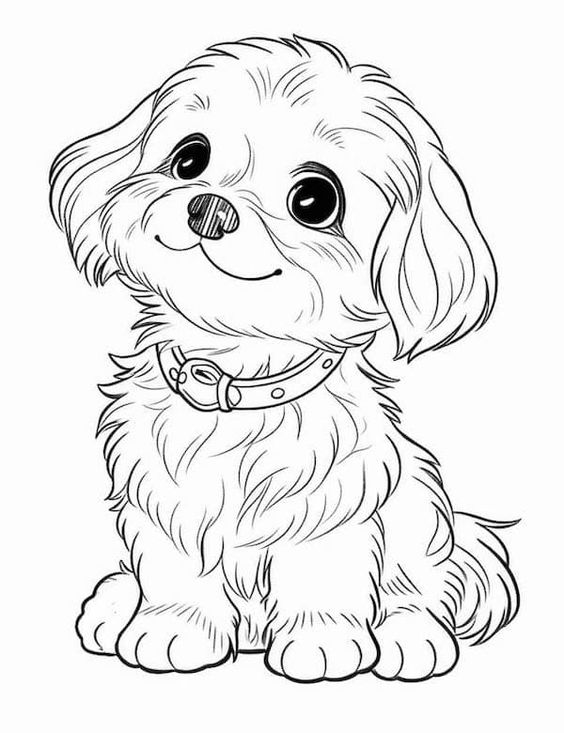 desenhos de animais para colorir