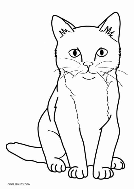 desenho de gato realista para imprimir