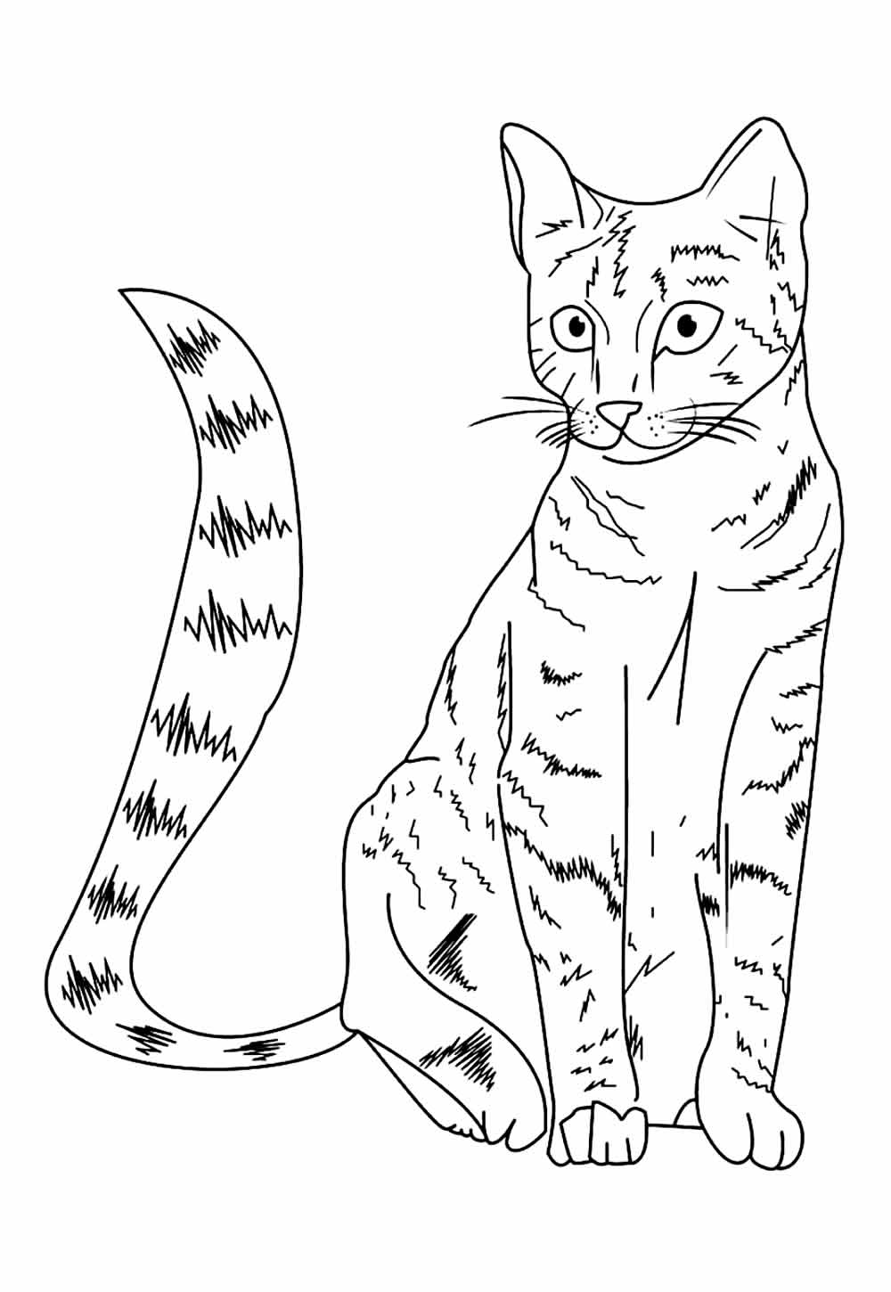 imprimir desenho de gato preto e branco