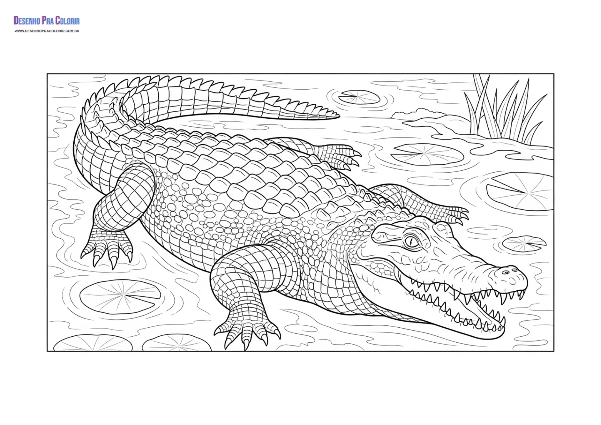 desenho para imprimir jacare