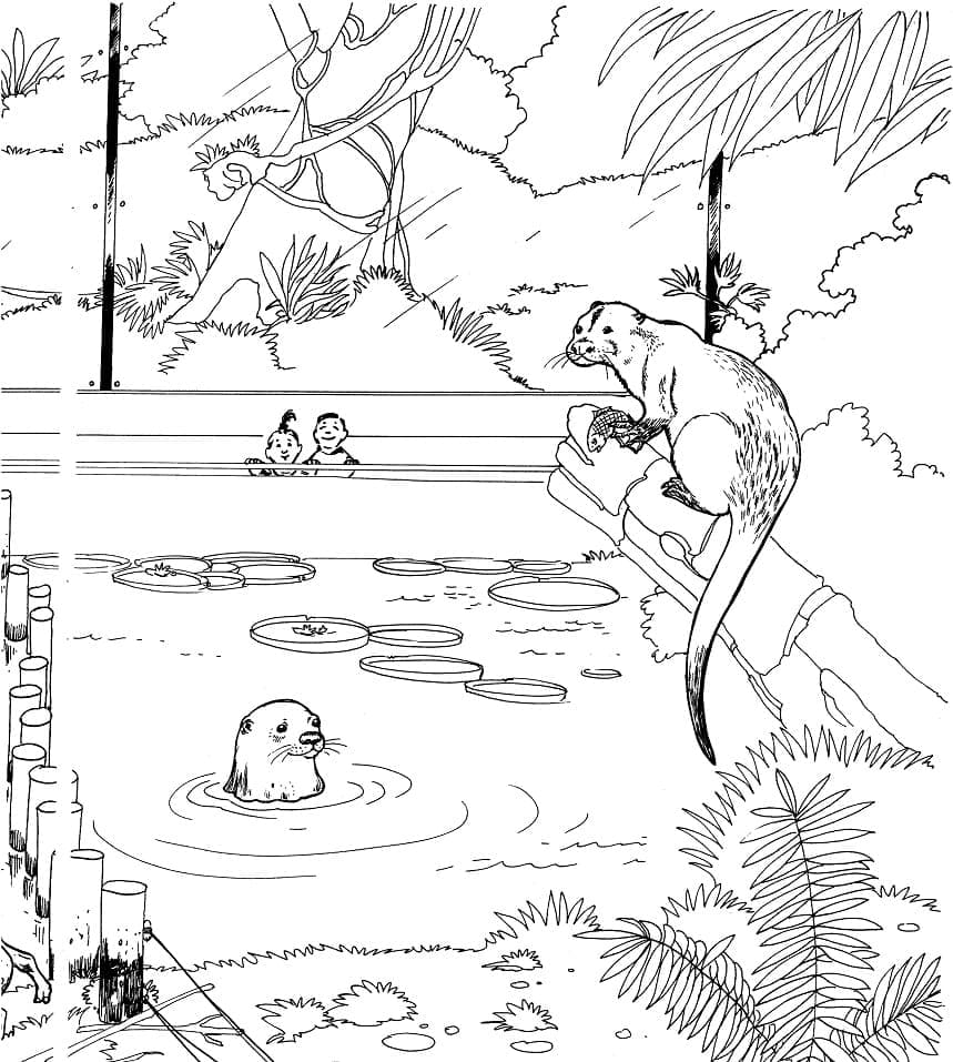 Como escolher o melhor papel para imprimir desenhos de colorir?