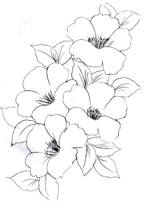 desenhos para colorir animais