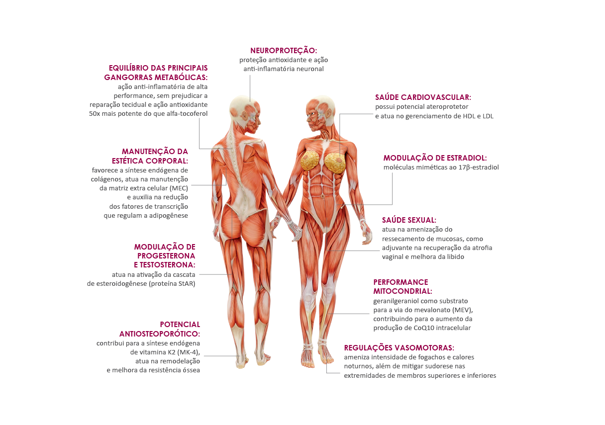 desequilibrio hormonal