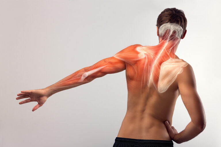 5 ideias de títulos:
1. Luxação de Ombro: Guia Completo de Primeiros Socorros e Tratamento Hospitalar
2. O Que Fazer Imediatamente ao Deslocar o Ombro: Dicas Essenciais
3. Riscos de Ignorar um Ombro Deslocado: Consequências a Longo Prazo
4. Do Pronto-Socorro à Fisioterapia: O Caminho da Recuperação do Ombro Deslocado
5. Como Evitar Novas Luxações: Prevenção e Cuidados Pós-Tratamento