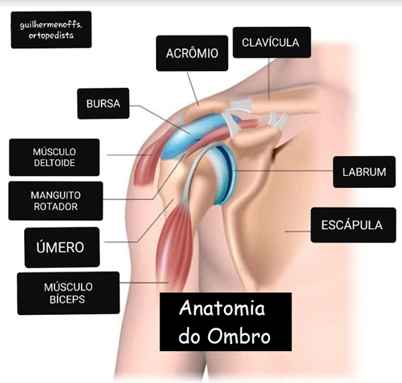 desloquei o ombro