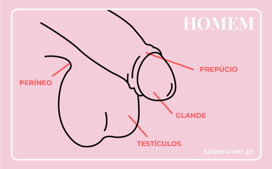 Guia Completo para Análise de Informações Digitais