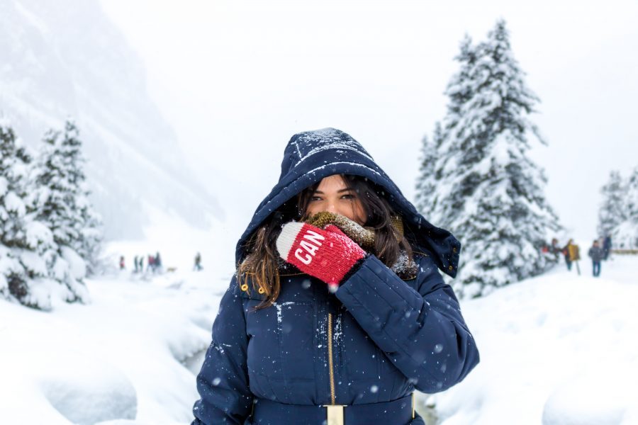 mala de inverno europa