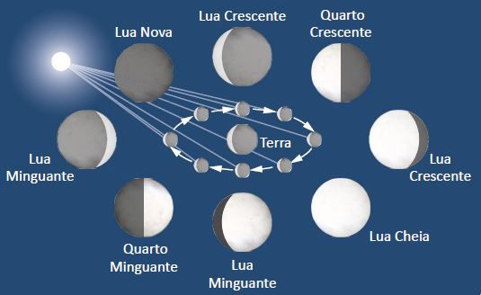1. Calendário da Dieta da Lua: Próximas Datas e Fases Lunares
2. Dieta da Lua: O Que Comer e o Que Evitar em Cada Fase
3. Riscos da Dieta da Lua: O Que os Especialistas Alertam
4. Dieta da Lua vs. Outras Dietas Rápidas: Qual a Melhor Opção?
5. Mitos e Verdades Sobre a Dieta da Lua: Ciência vs. Crença Popular