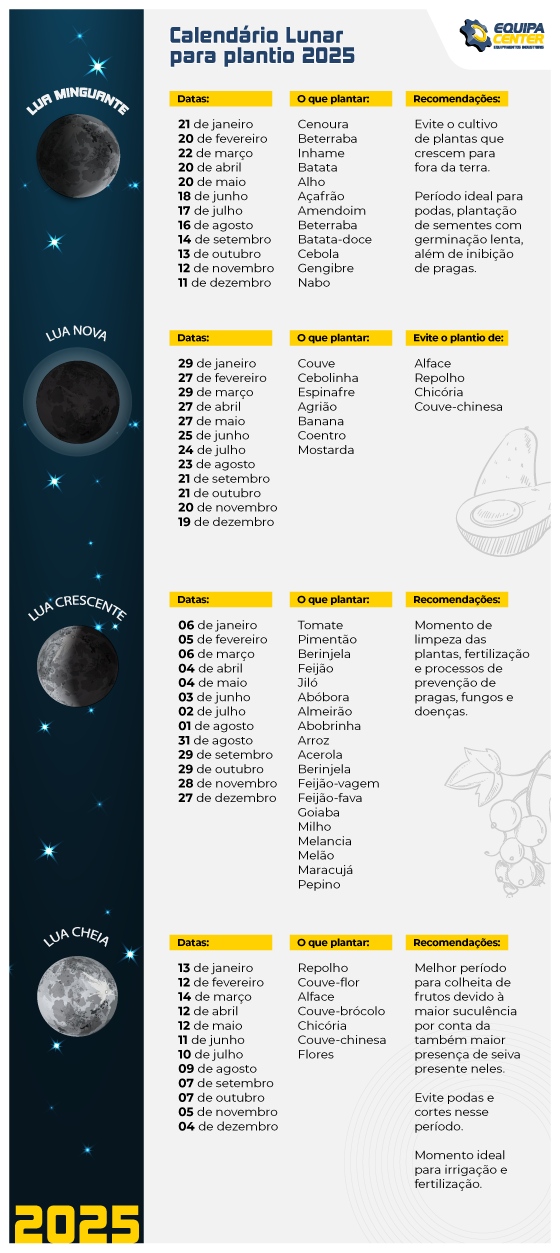 1. Calendário da Dieta da Lua: Próximas Datas e Fases Lunares
2. Dieta da Lua: O Que Comer e o Que Evitar em Cada Fase
3. Riscos da Dieta da Lua: O Que os Especialistas Alertam
4. Dieta da Lua vs. Outras Dietas Rápidas: Qual a Melhor Opção?
5. Mitos e Verdades Sobre a Dieta da Lua: Ciência vs. Crença Popular