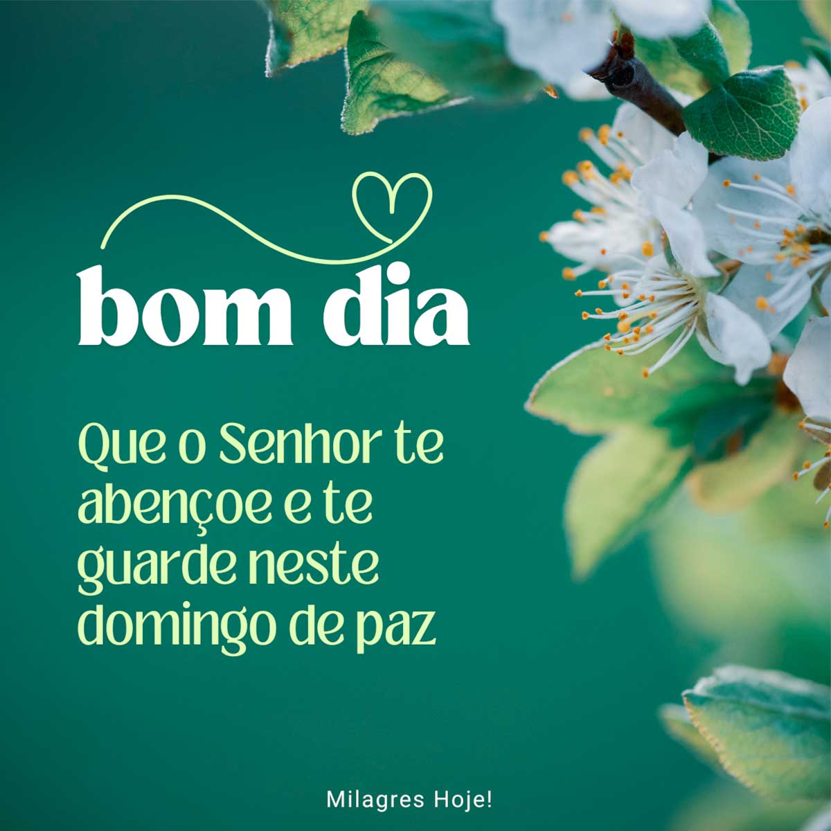 frases curtas bom dia domingo