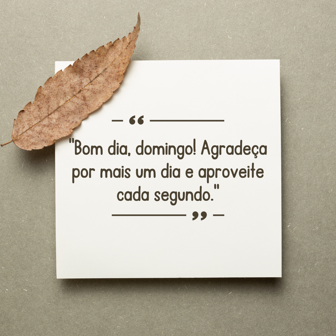 mensagens de bom dia domingo para grupos