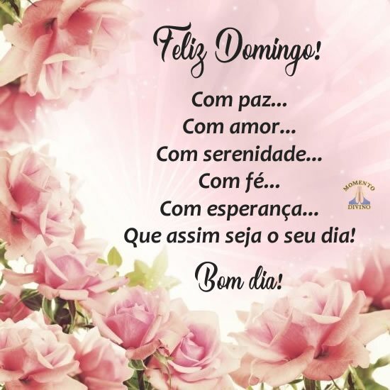 reflexões de domingo de manhã