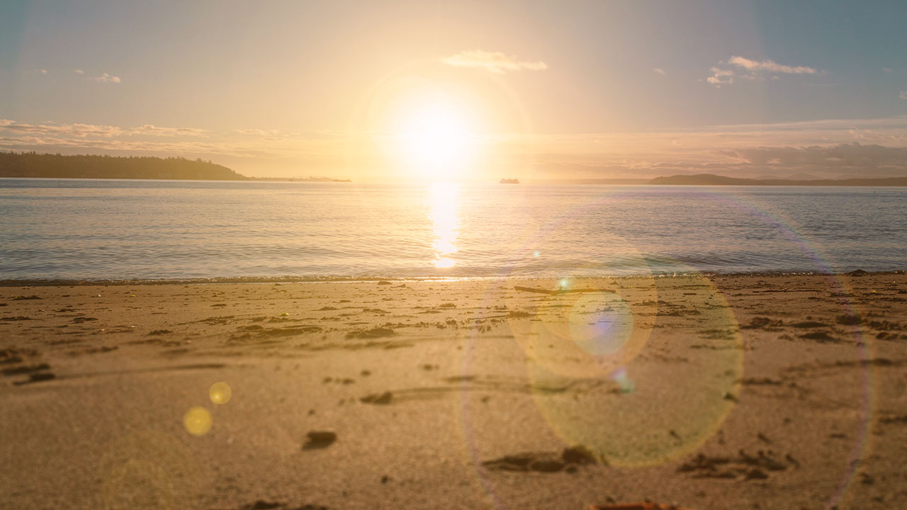 5 ideias de títulos:
1. Guia Completo: Como Escolher e Comprar Lentes de Contato na e-lens
2. E-lens: Análise Detalhada de Reputação e Confiabilidade no Reclame Aqui
3. As Melhores Marcas de Lentes de Contato Disponíveis na e-lens
4. Promoções e Descontos na e-lens: Como Aproveitar Cupons de até 32%
5. Atendimento e Facilidades da e-lens: Tudo o que Você Precisa Saber