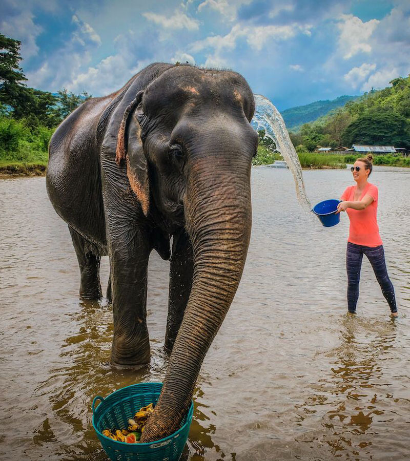 Guia completo para visitar o Elephant Nature Park em Chiang Mai