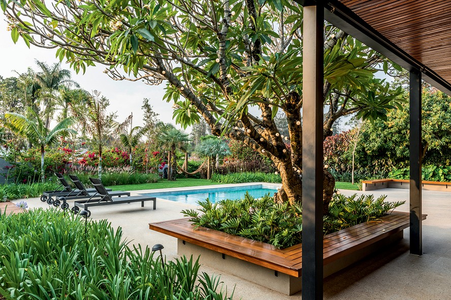 erros comuns ao criar jardim mediterrâneo