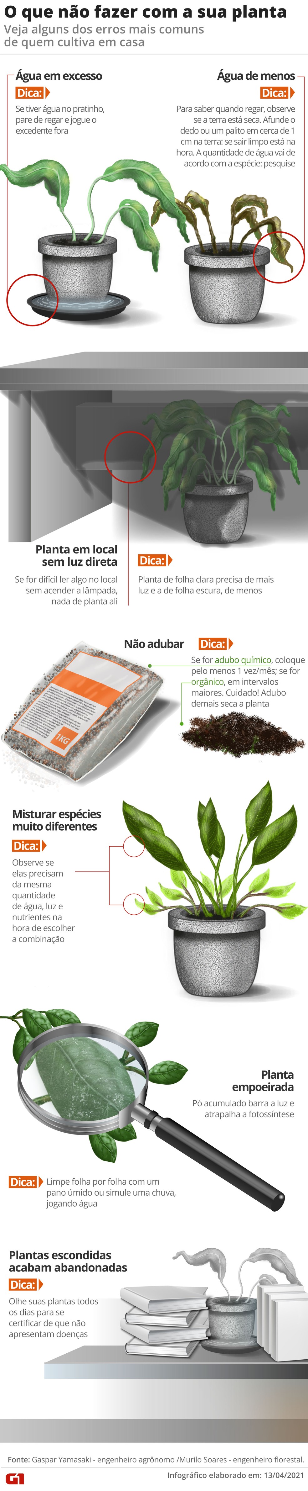 por que minhas flores morrem em lugar escuro