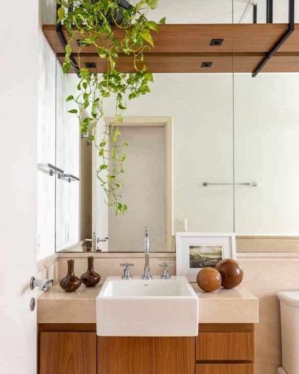 melhores plantas para banheiro com pouca luz