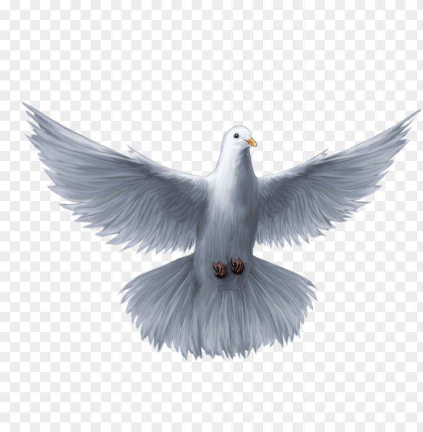 download espirito santo png