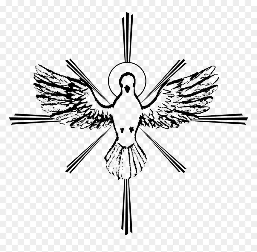 espirito santo png estado