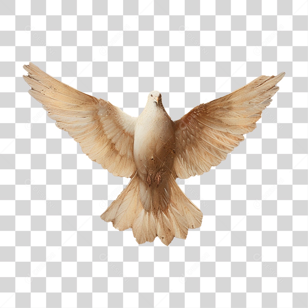 espirito santo png minimalista