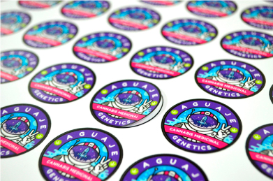 Como Criar Sua Própria Estampa Digital do Zero