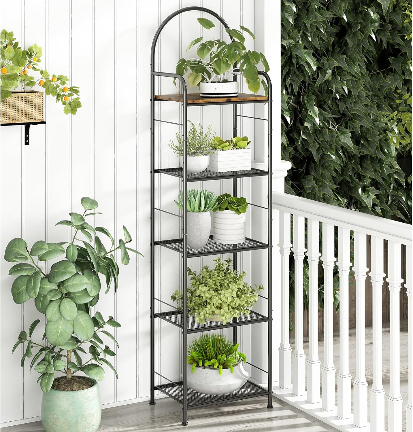 As melhores plantas para cada tipo de estante: Pendentes