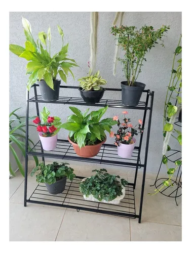 As melhores plantas para cada tipo de estante: Pendentes