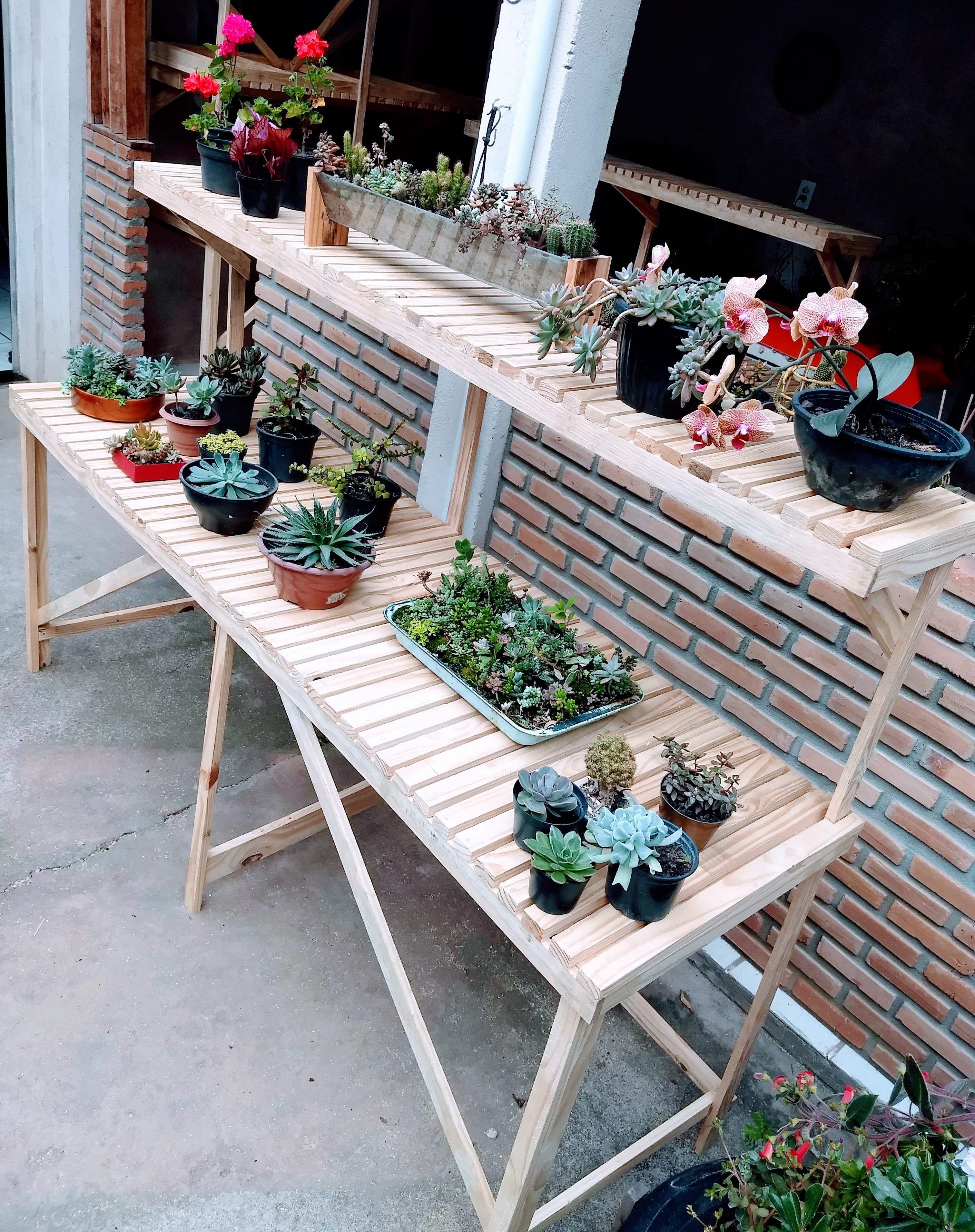 Transforme seu apartamento: Ideias de jardins verticais e estantes multiuso