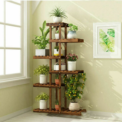 As melhores plantas para cada tipo de estante: Pendentes