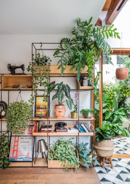 Estrutura e Compactas