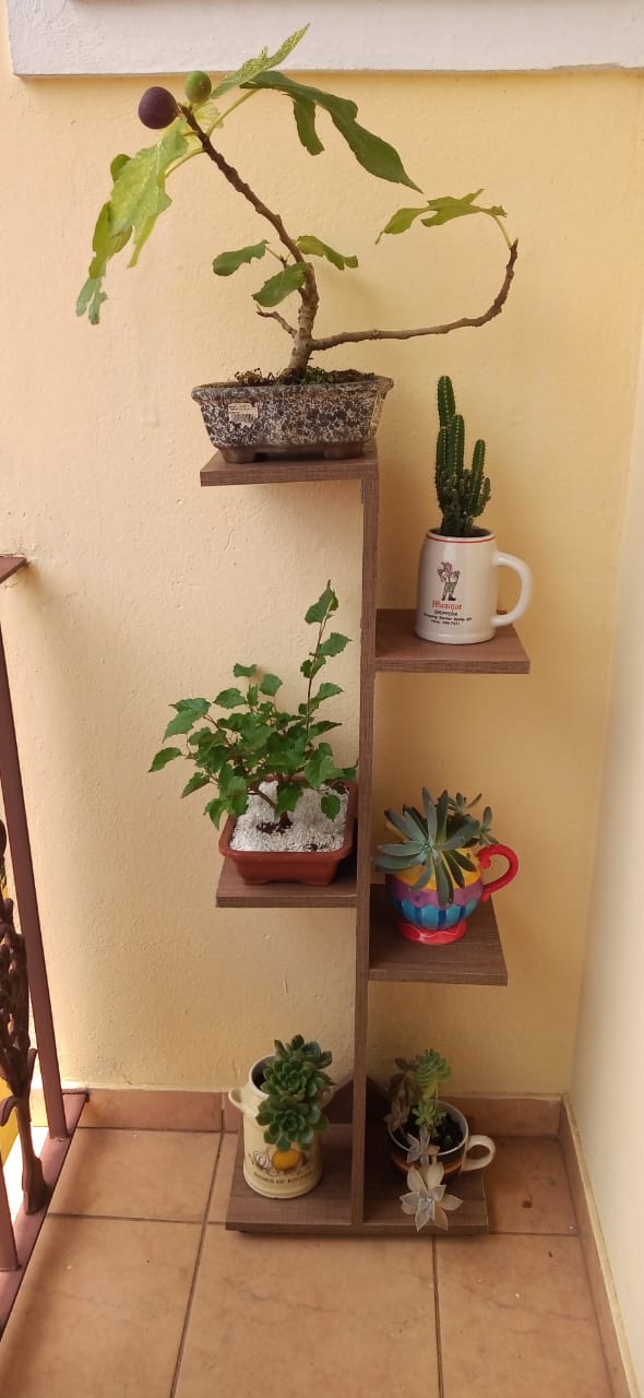 DIY: Como fazer uma estante de plantas econômica e funcional