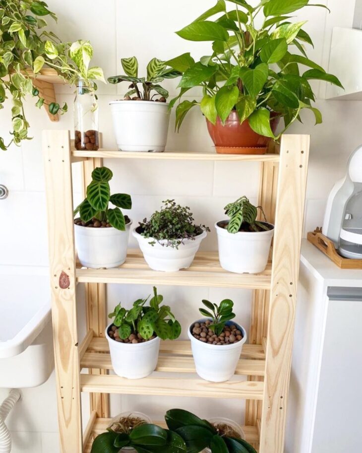 estante para plantas
