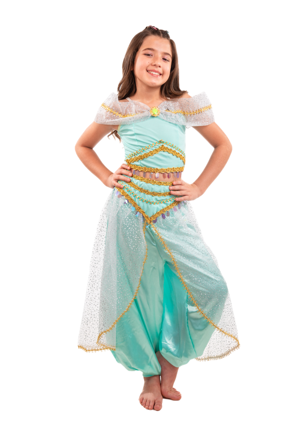 fantasia jasmine carnaval