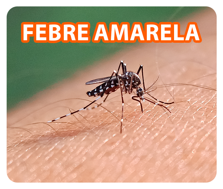 prevenção contra febre amarela