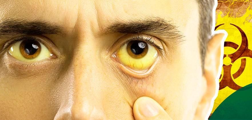 vacinação febre amarela 2026