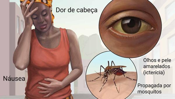 prevenção contra febre amarela