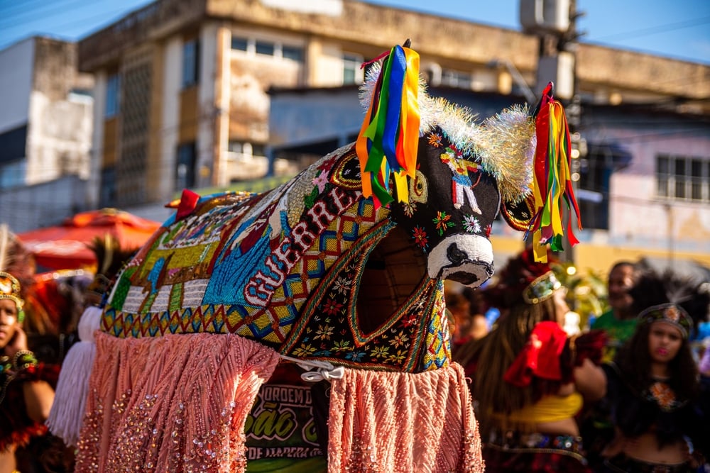 festa junina campina grande vs caruaru 2024