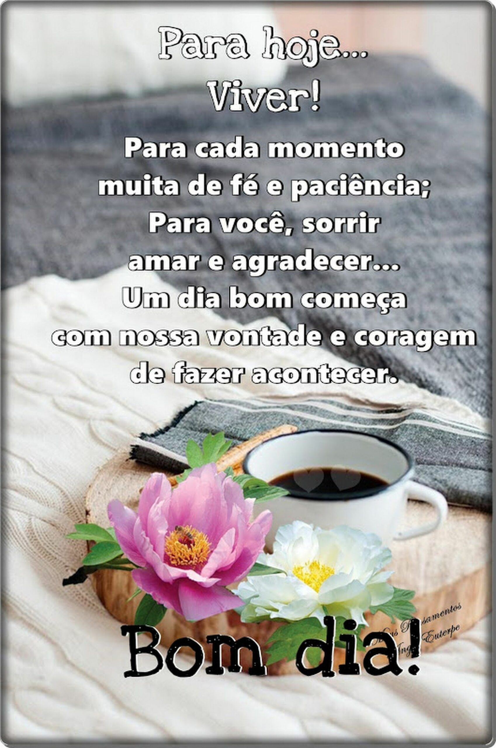 como baixar figurinhas bom dia