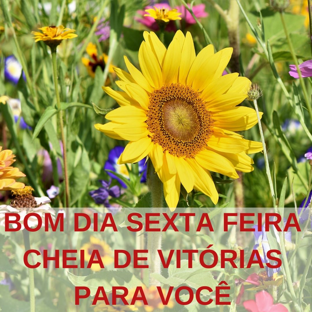 criar figurinhas whatsapp sexta