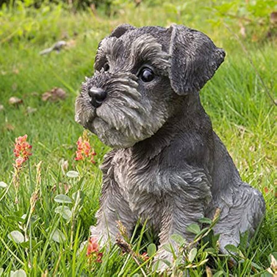 5 ideias de títulos:
1. Guia Completo: Tudo Sobre o Schnauzer (Miniatura