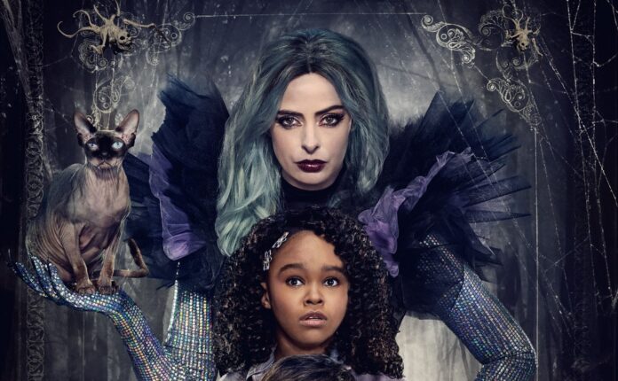 1. Filmes de Terror com Bruxas: Uma Análise Profunda
2. A Evolução das Representações de Bruxas no Cinema
3. Top 5 Filmes de Fantasia com Elementos de Bruxaria
4. Como 'A Bruxa' Redefiniu o Gênero de Terror
5. Guia Completo: Onde Assistir Filmes de Bruxa Online