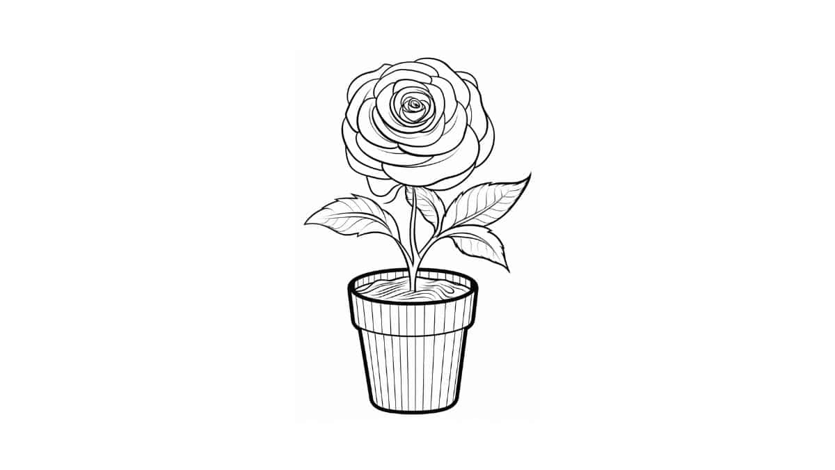 flores para colorir abstratas