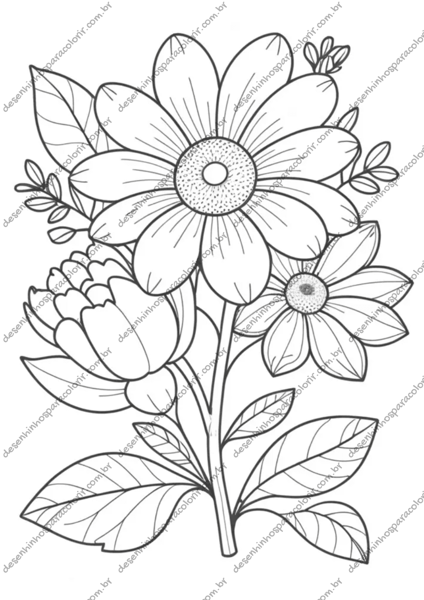 flores para colorir específicas (rosa, girassol, tulipa, orquídea, etc.)